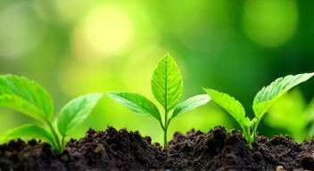 Nachhaltigkeit in Dividendeninvestitionen (2/10)